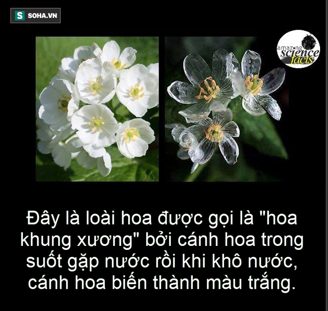 31f4033bde84a058c69a.png