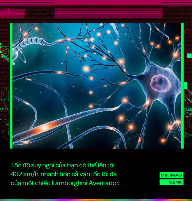 32326a2949de71df42ec.png