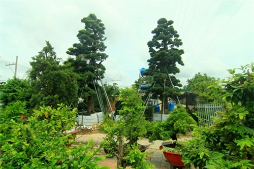 326793d851c828004bb8.jpg
