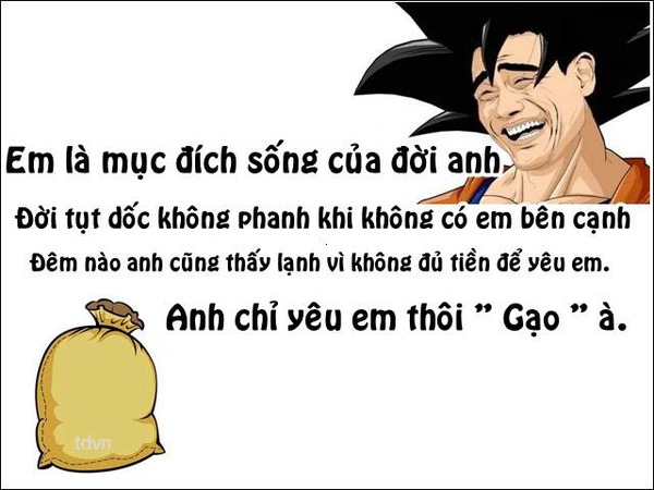 32edaa3b1be01dc694b7.jpg
