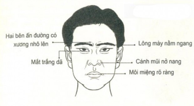3335e0b1dd99ac4b34ae.jpg