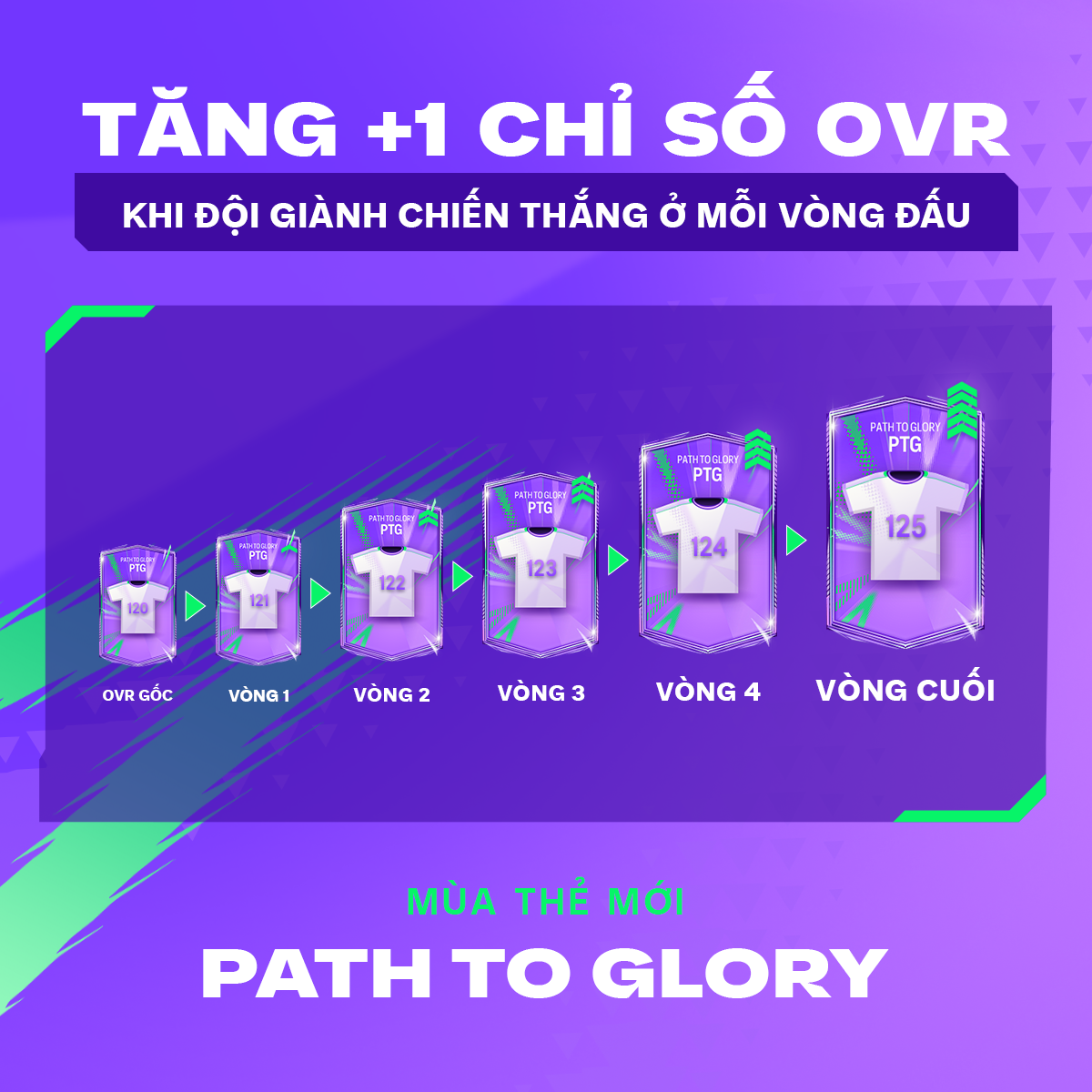 3335ee932e366a2bfb39.png