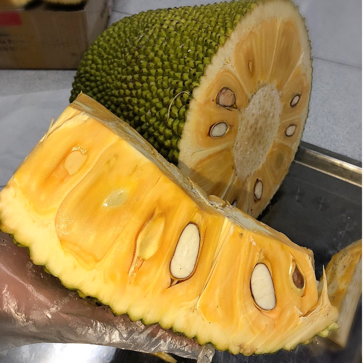 333a766e529659851a17.jpg