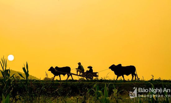 3353079c53bf2014d6e5.jpg