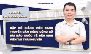 335acf6d2a48bbd0ba83.jpg