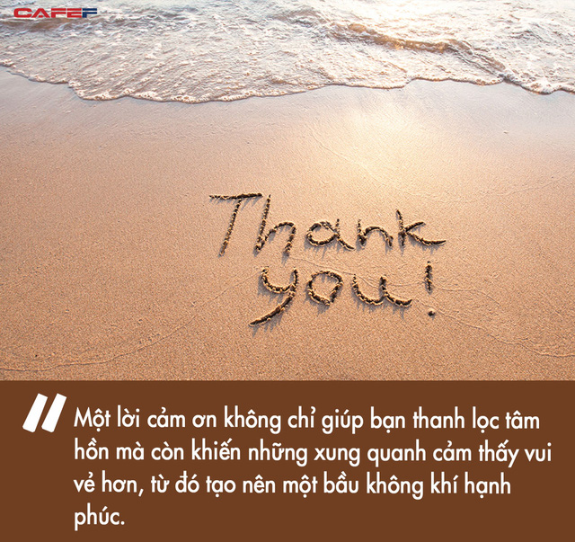338ec83f13925150a130.jpg