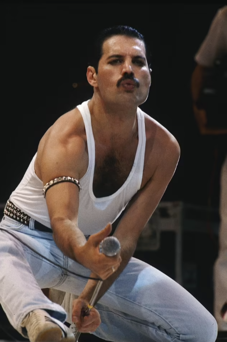 3396a2a849a0458f9daa.png