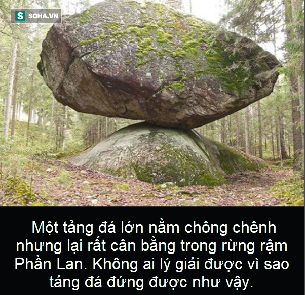 33d2f46bc88deb34ec2f.png