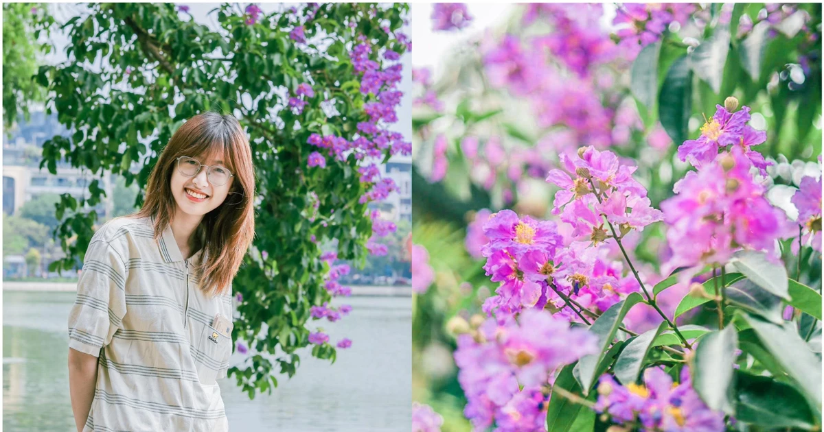 Hoa bằng lăng nở rực màu tím, giới trẻ Hà Nội rần rần đi sống ảo