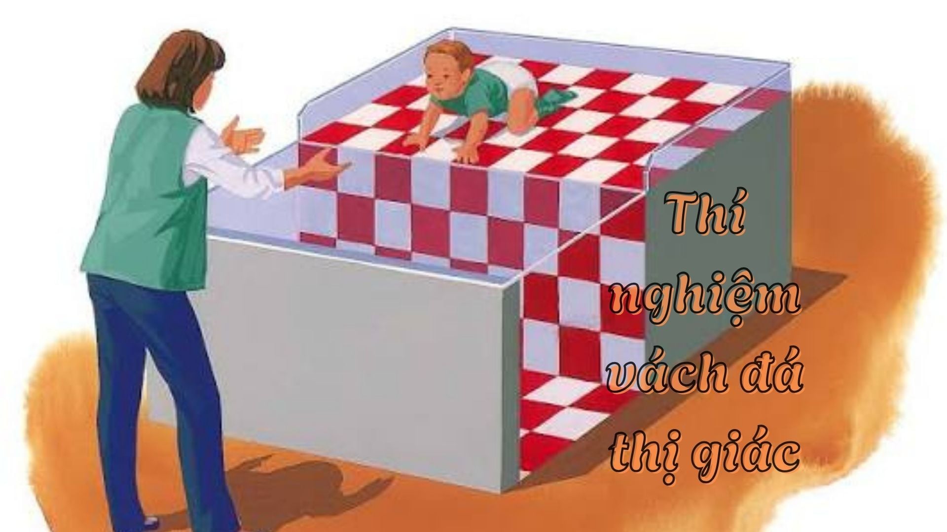 Thí nghiệm Vách đá thị giác - Khi các bé biết sợ độ cao từ trong trứng nước