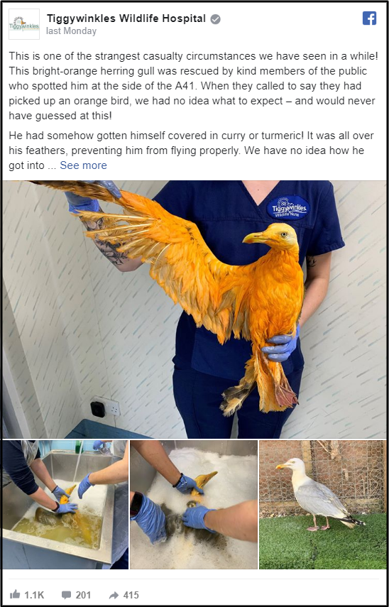 34b8d4e3db10c27d8ca6.png