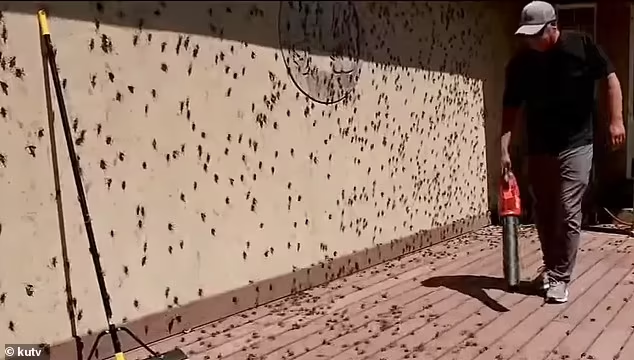 34c2cdc8e81ffb8674e5.png