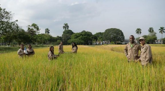 34c35b6ae3767e8a36fd.png