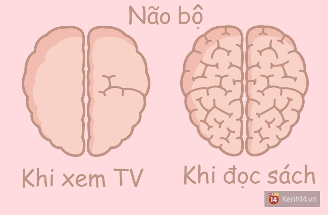 34e6edaa7d58eb0ef006.jpg