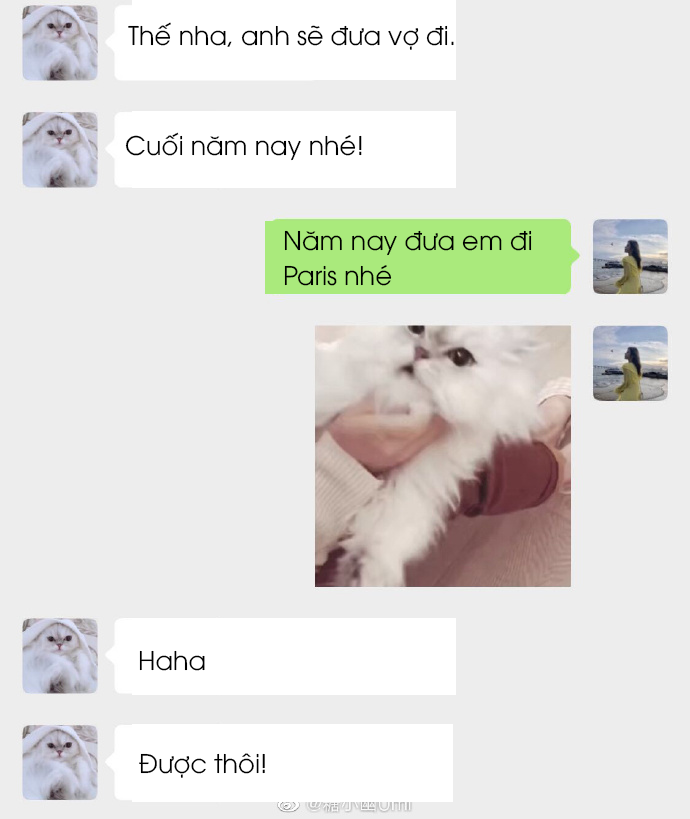 34e8fa9491e701aace63.png