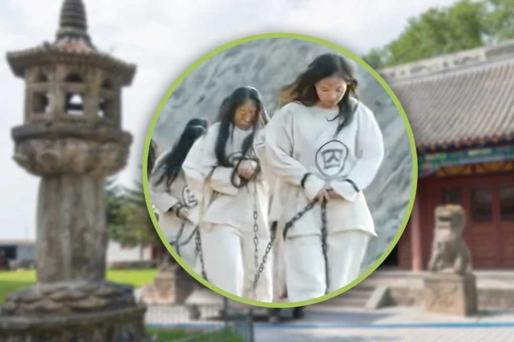 359c603ace0833d947c8.webp