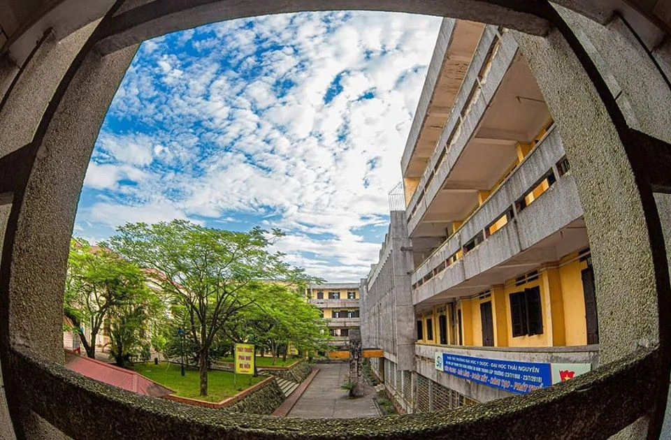 Trường Y Dược xinh xỉu trong nắng hè, ngắm mãi không chán! ☀️