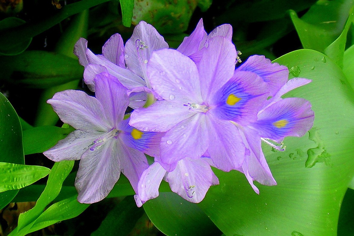 35ebf071a6ee8d9338af.jpg