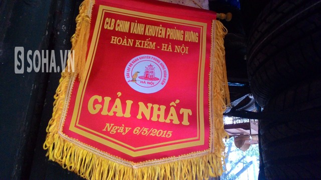 35f3d680fb6ebb46f164.jpg