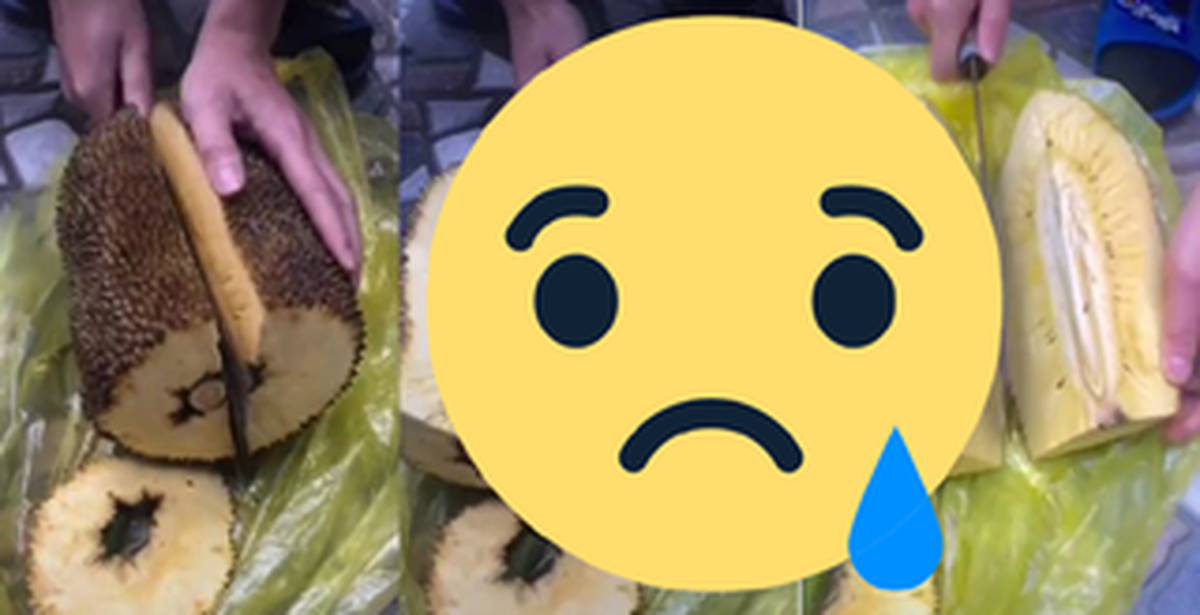 36083a9e9a5f6887b734.png