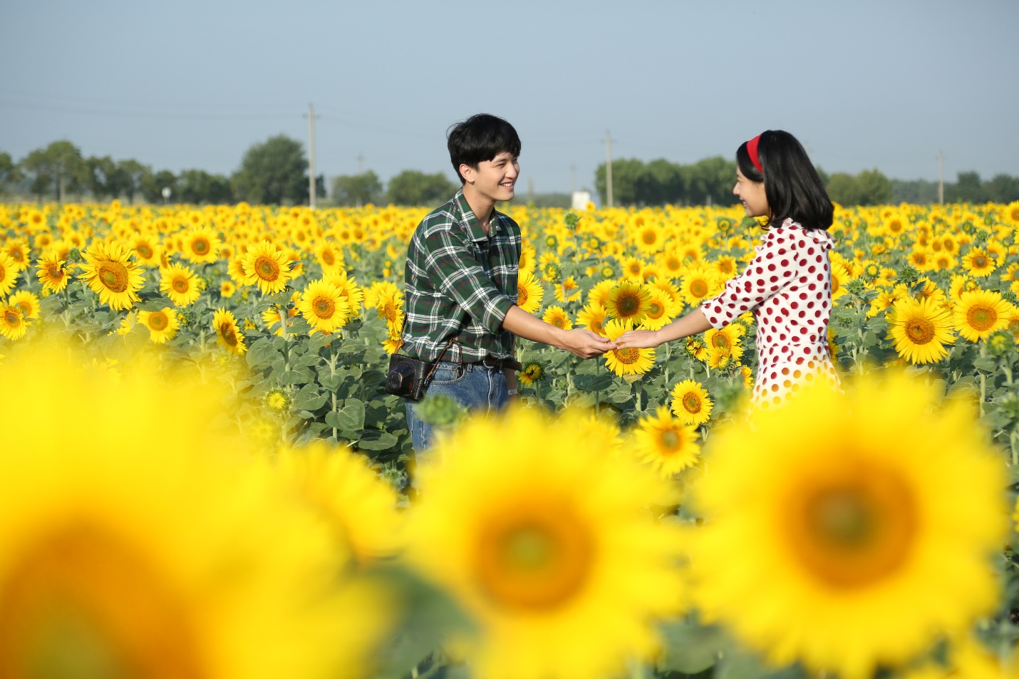 360dc2050ceb8e0d73fc.jpg