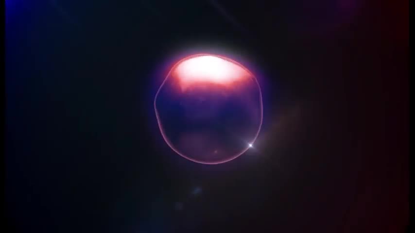 361b7ae308d1417d8eda.jpg