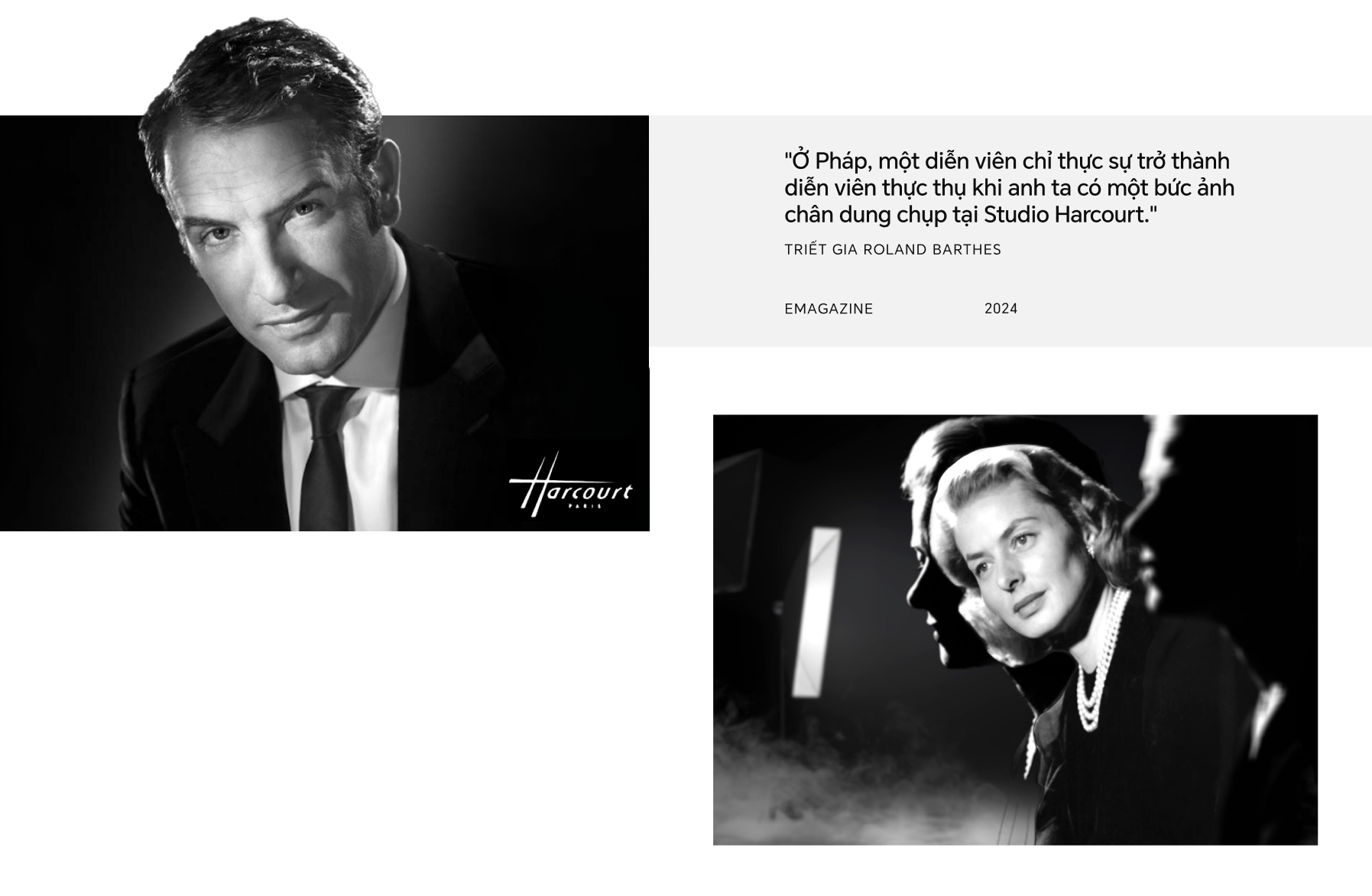 3663eb63d60a4fc1f6bd.png