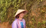 36a6ded39795ae9110aa.jpg