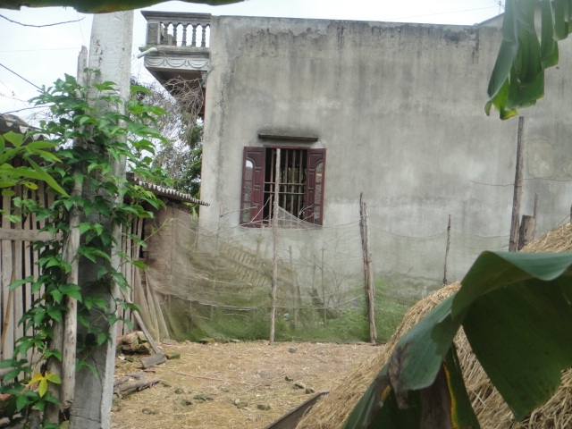 36aedf06d1eaccbf1006.jpg