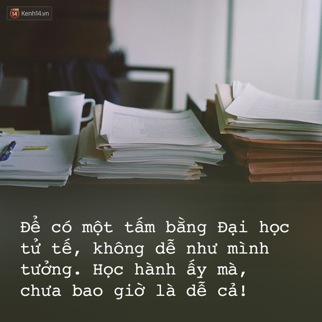 36dd494697d3e6d4210b.jpg