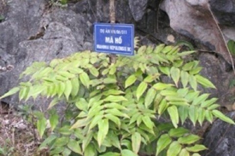 36e3ac76319af04adaca.jpg