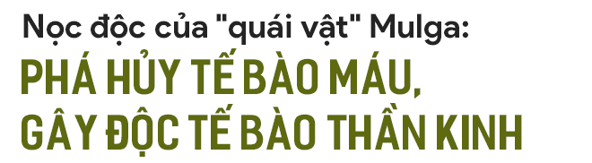 36e7c10dc8c201d46671.png