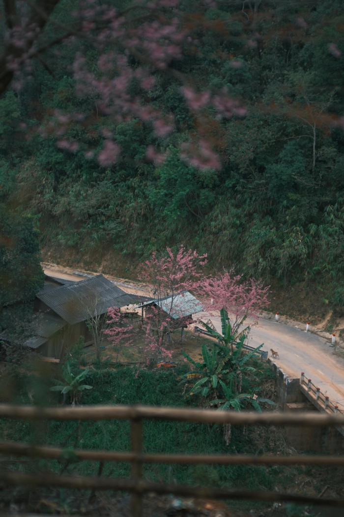 36f0090b89f1c65edf11.jpg