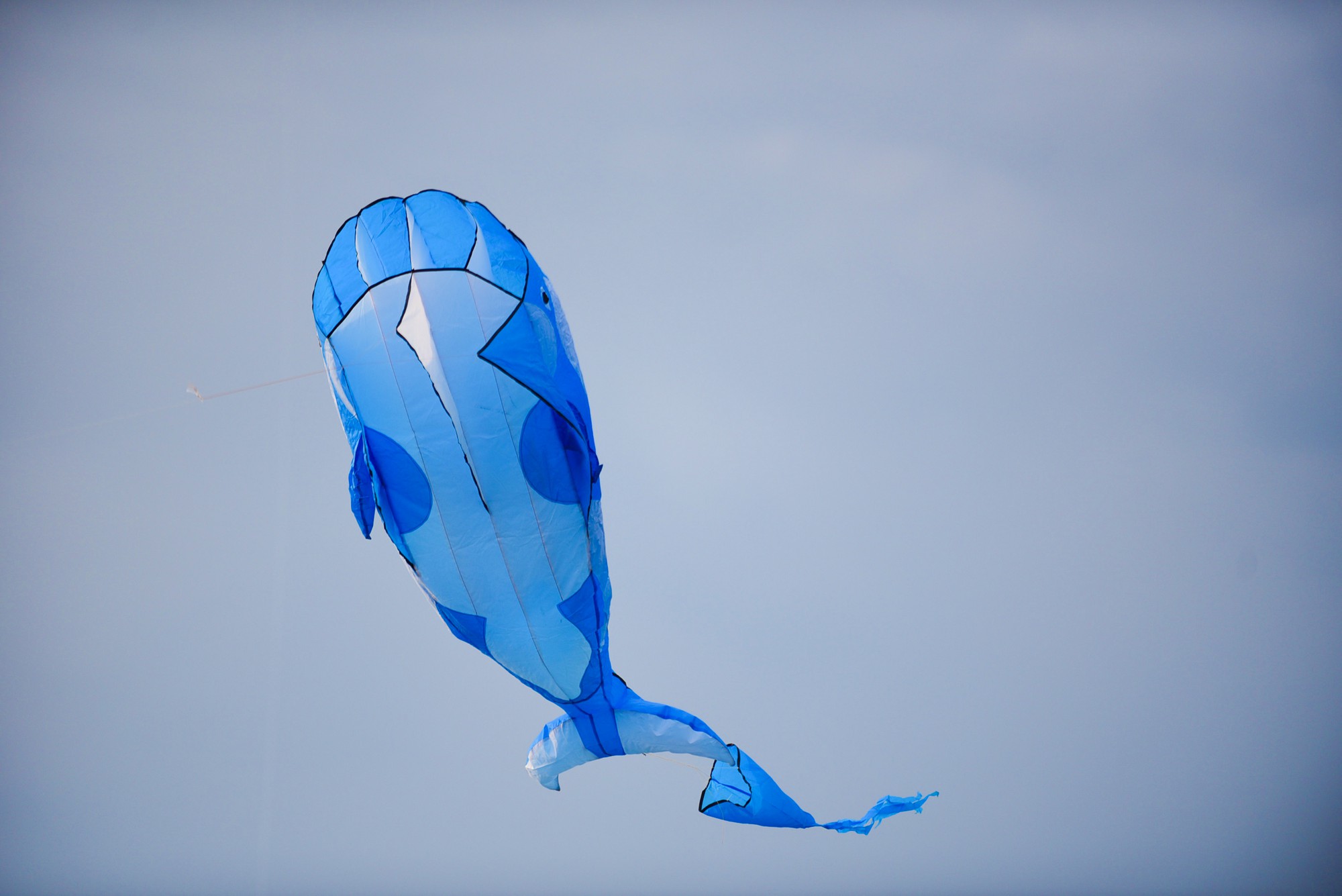 36f10d7f45ca31836de2.jpg