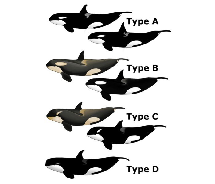 36f186c568d1d312e324.jpg
