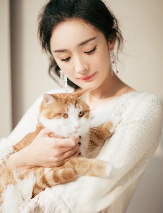 36f67987a96d9b09cae5.jpg