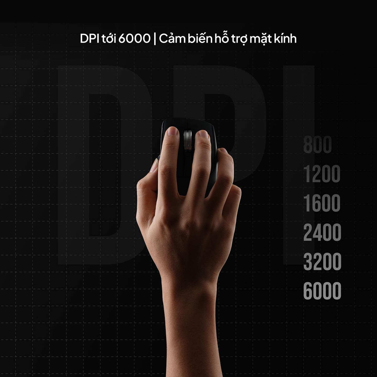 37554aaac43477dc2524.png