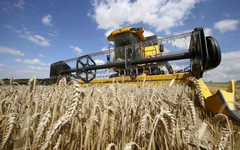 3759b41813e195d2d314.jpg