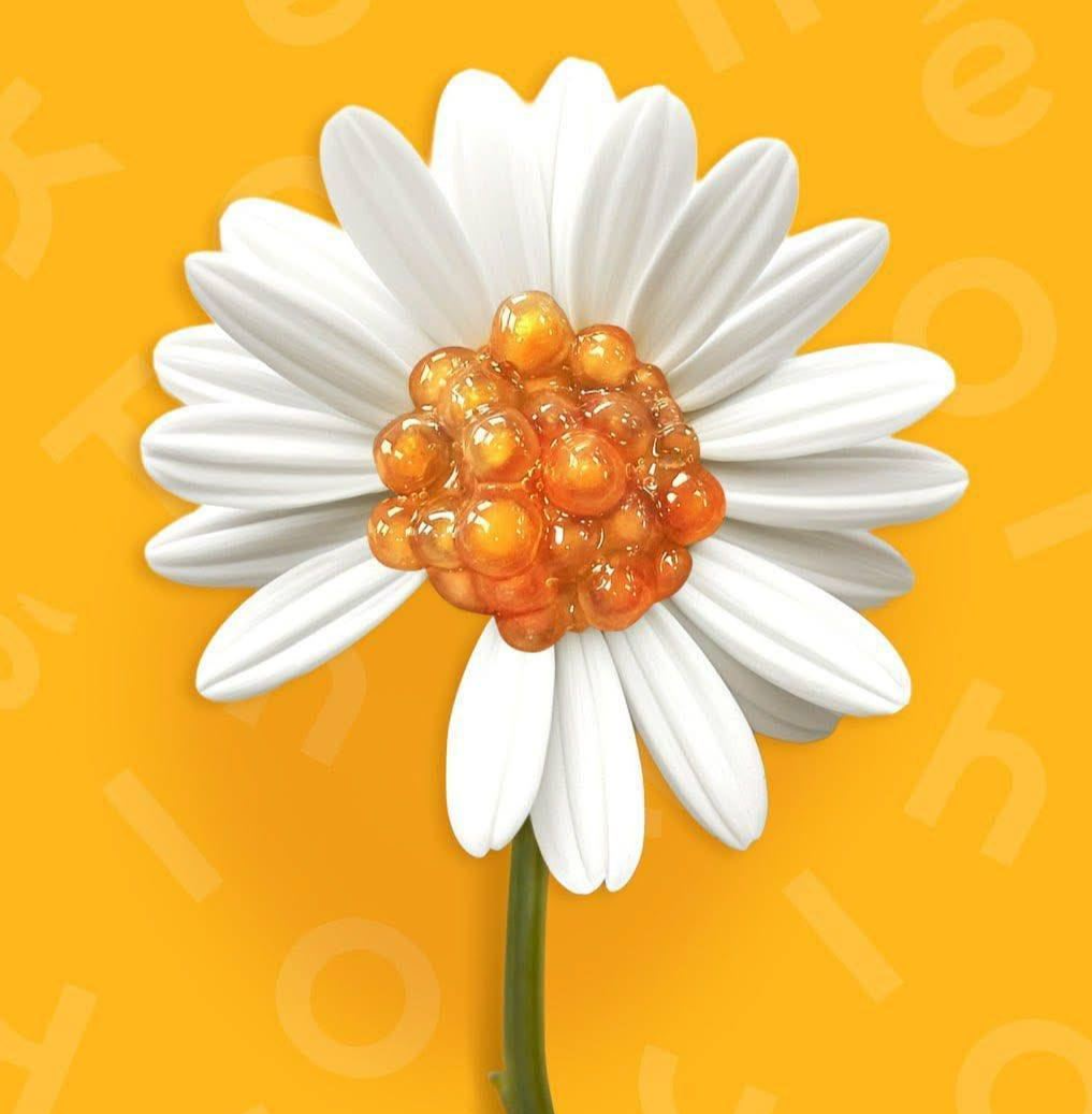 37614f6adef4c8e25312.png