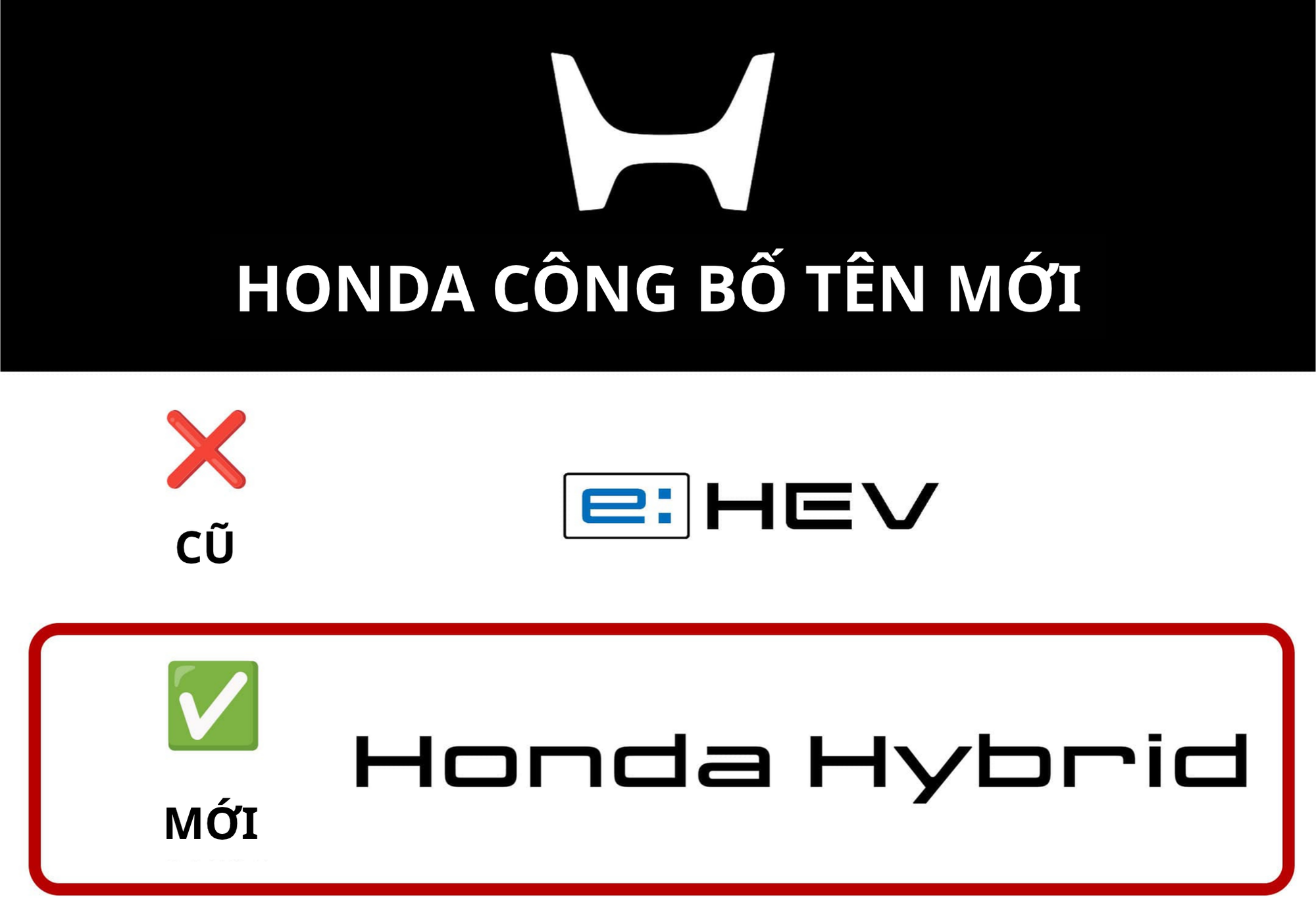 3772bf2521c593baeeba.png