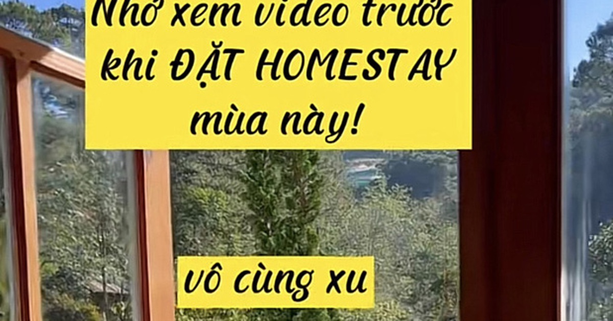 379de28548689039ddae.jpg