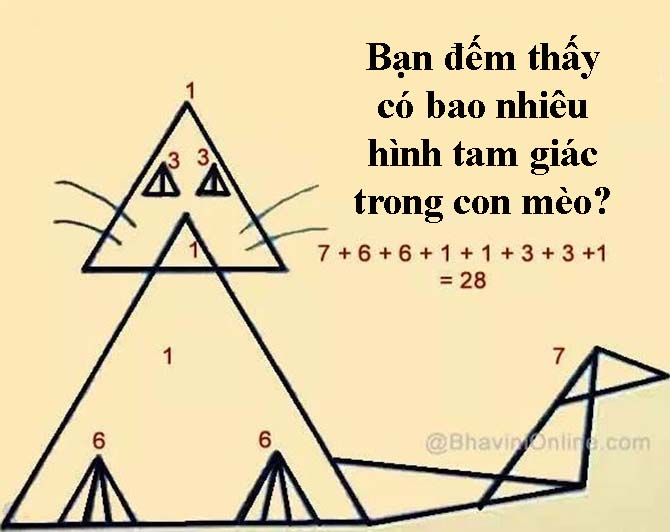 37aa941c70d5c85b5398.jpg