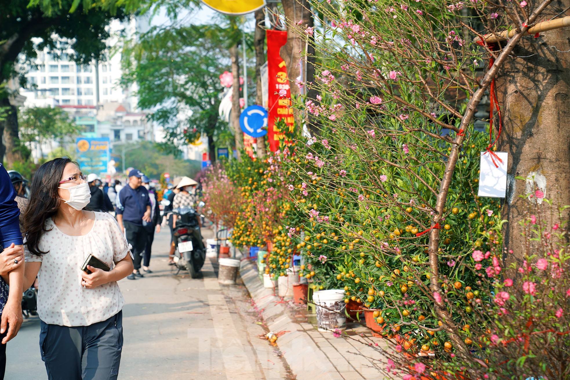 37cf33065c5e5ed21872.jpg
