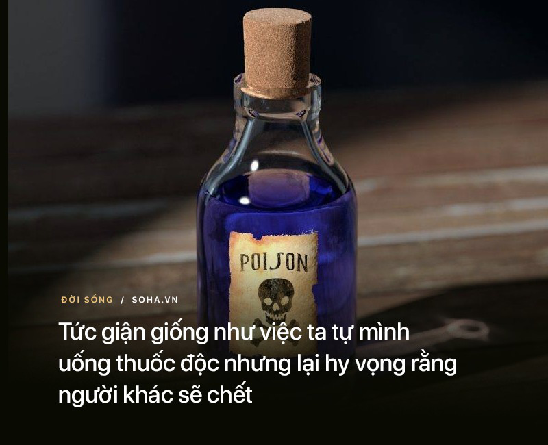 37d03240cf47dd8c5519.jpg