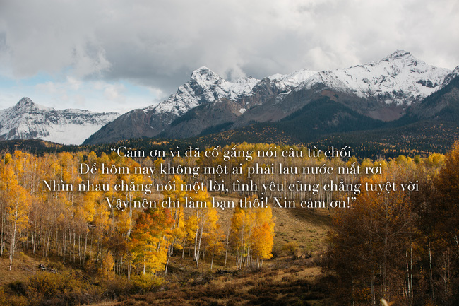 37e9fe920dcd2b5ec312.jpg