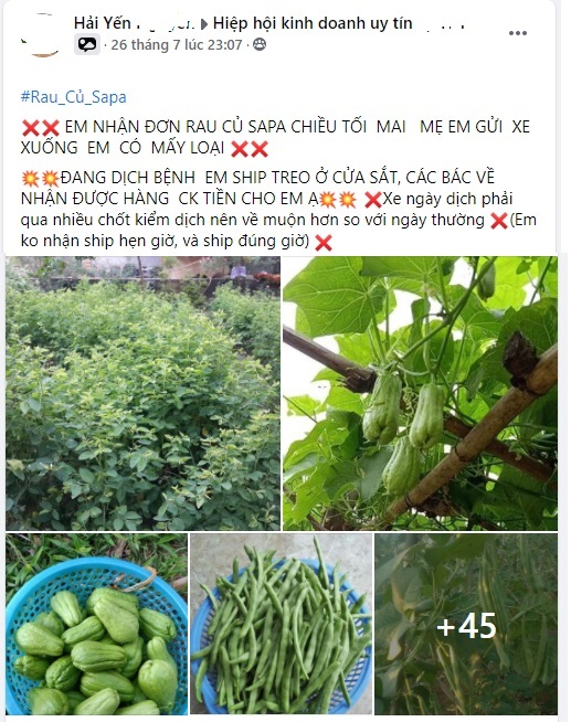 38a0c06b4e48175b0e2a.jpg