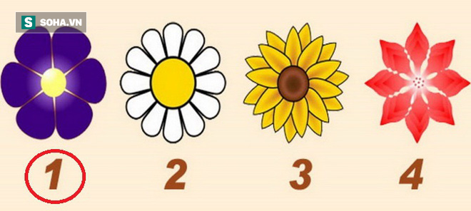 38cb27b5102c36fcea78.png