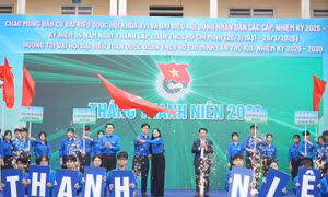 39637672baef22849722.jpg