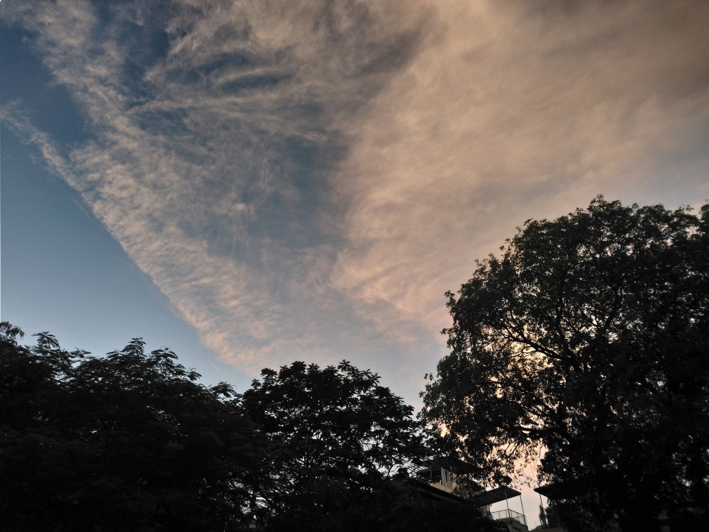 396ad984c6ed5f9e7a05.jpg