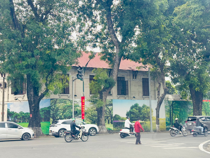 3985a1056e1c1dfd4bcf.jpg